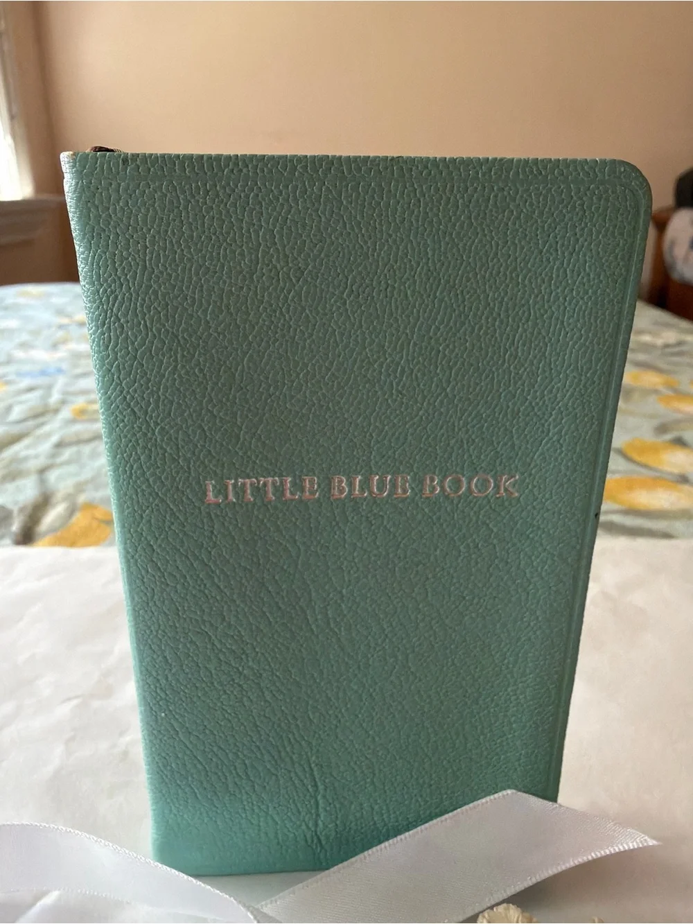 🌷TIFFANY & CO. LITTLE BLUE BOOK 🌷 NWOT 🌷